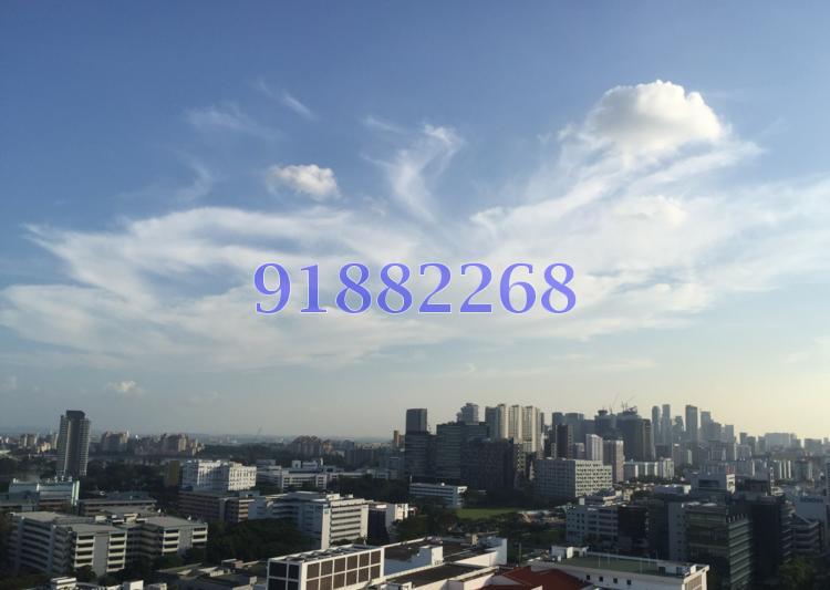 Eight Riversuites (D12), Condominium #109567702